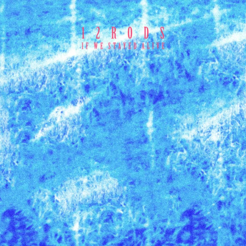 12 Rods - If We Stayed Alive LP