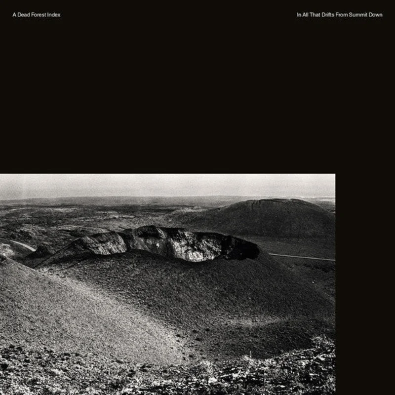 A Dead Forest Index - In All That Drifts From Summit Down (Vinyl)