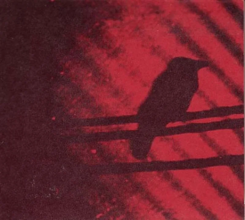 A Silver Mt. Zion-Born Into Trouble As The Sparks Fly Upward (LP)