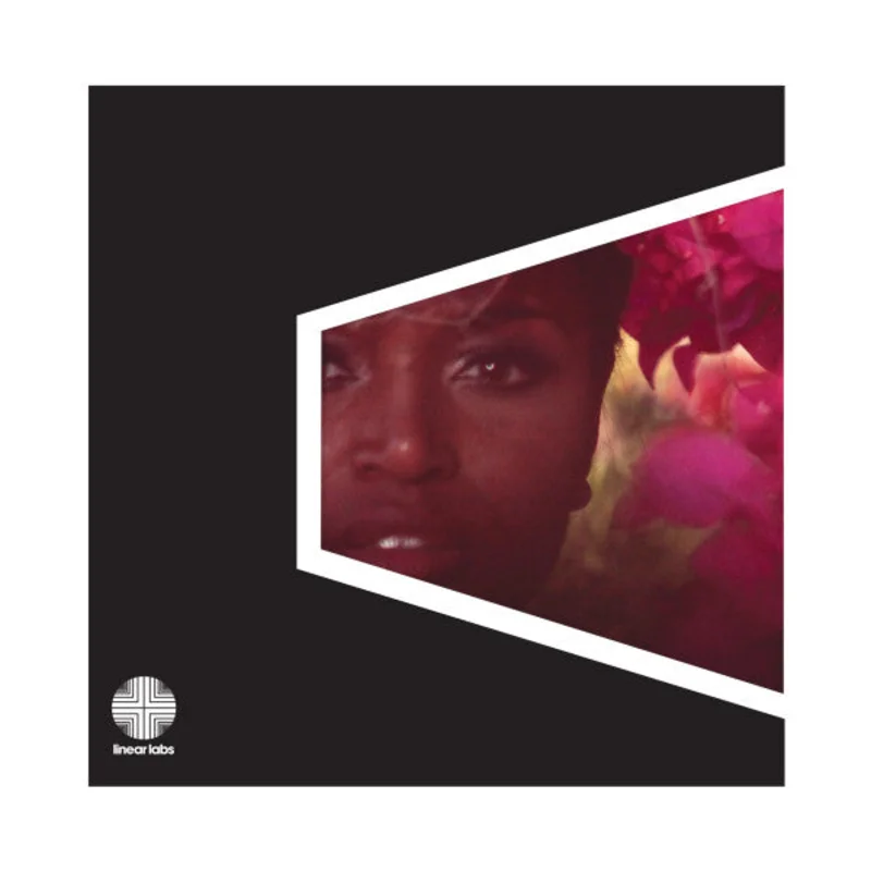 Adrian Younge Presents The Delfonics - Adrian Younge Presents The Delfonics (Vinyl)