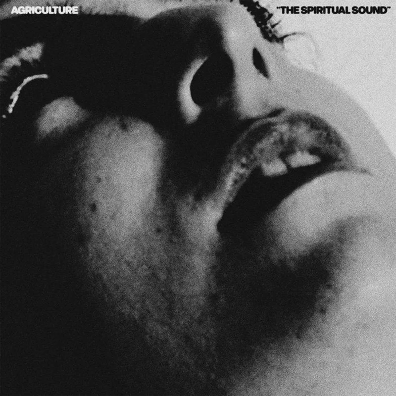 Agriculture - The Spiritual Sound LP