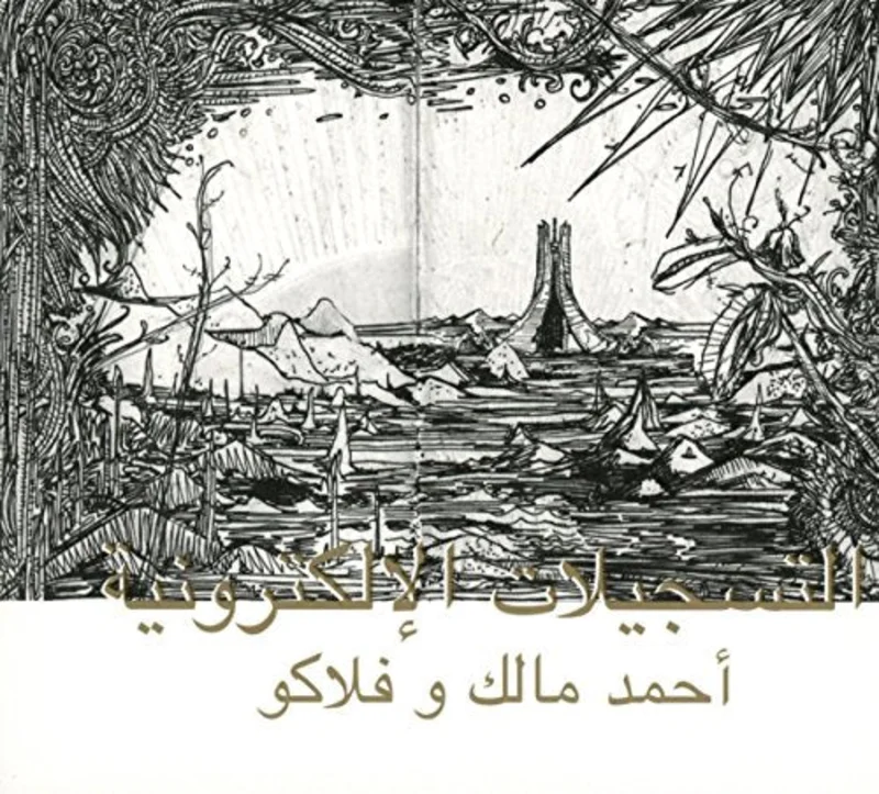 Ahmed Malek & Flako - The Electronic Tapes  [VINYL]