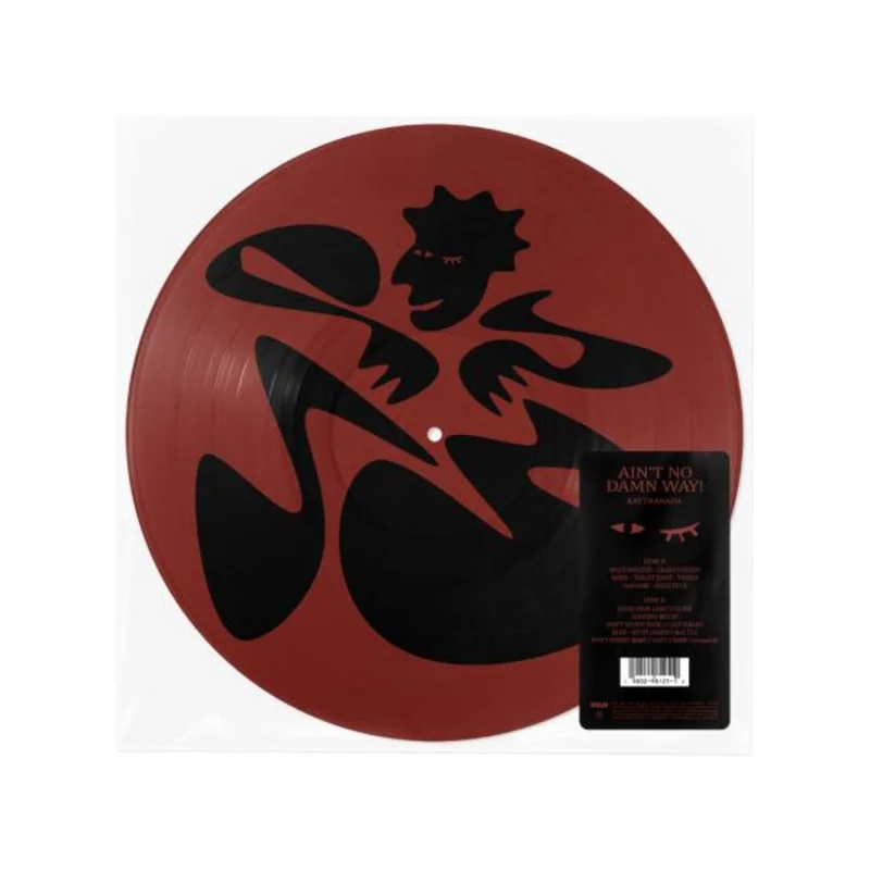 Ain't No Damn Way! (Picture Disc)