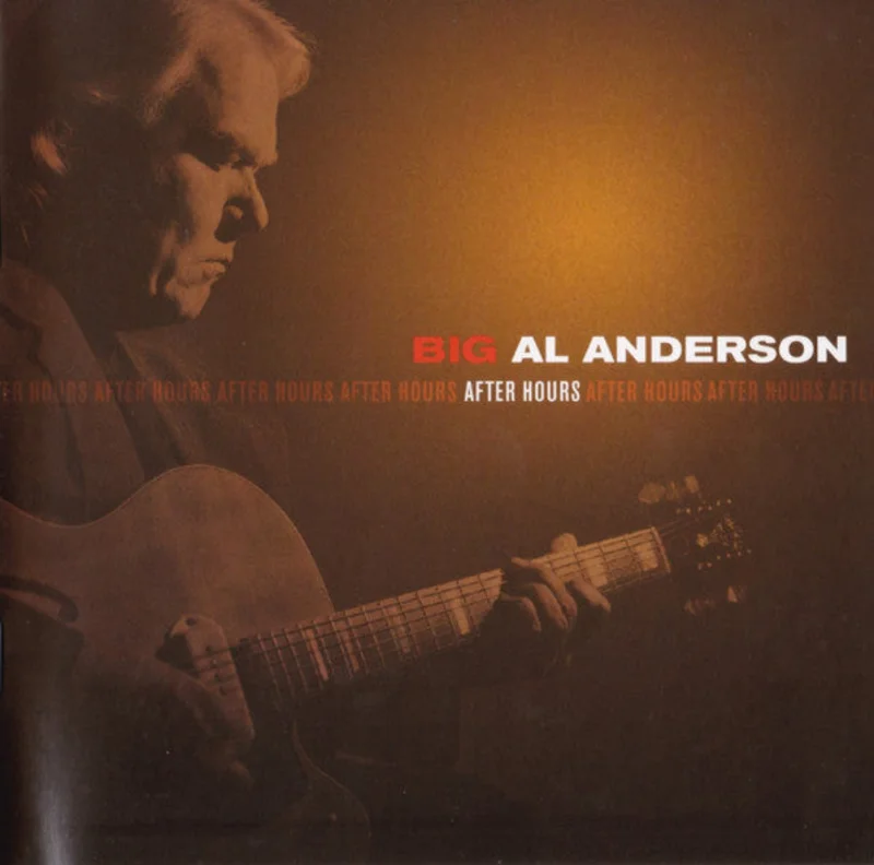 Al Anderson - After Hours (CD)