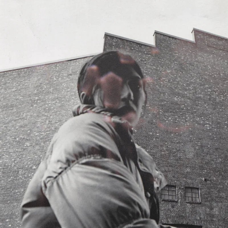 Aldous Harding - Warm Chris LP