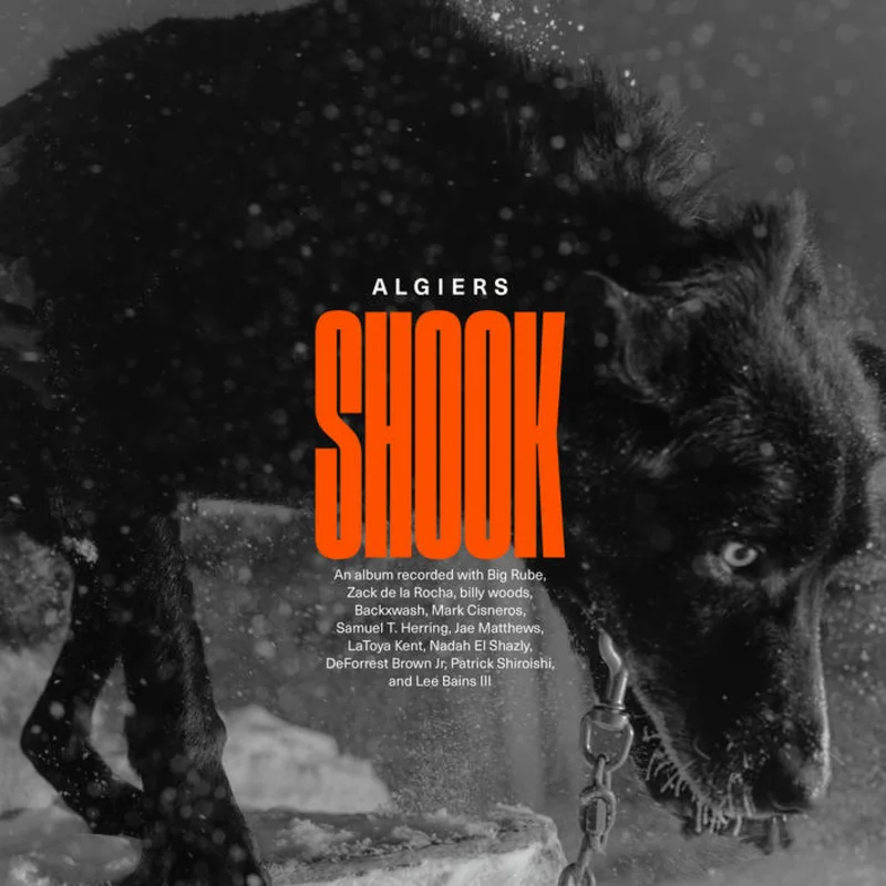 Algiers - Shook 2LP