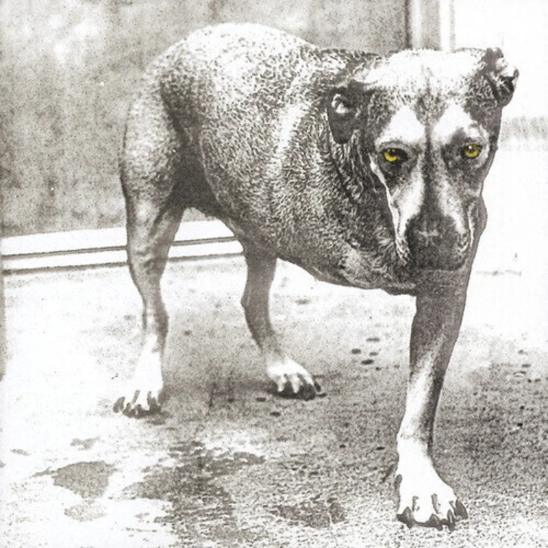 Alice In Chains - Alice In Chains 2LP