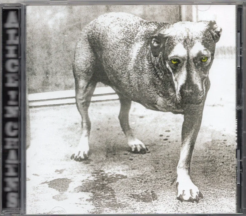Alice In Chains - Alice In Chains (CD)