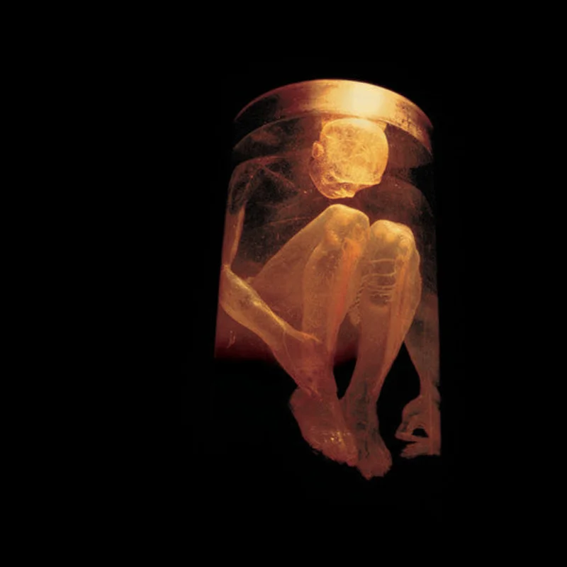 Alice In Chains - Nothing Safe: Best of (CD)