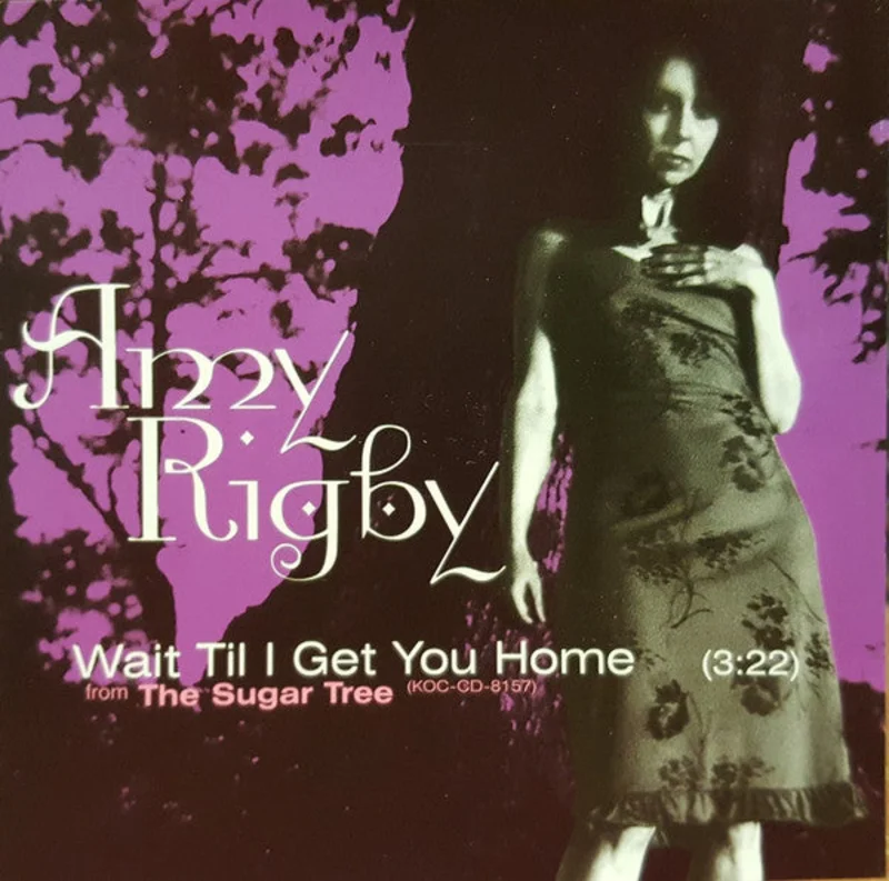Amy Rigby - Wait Til I Get You Home (CD)