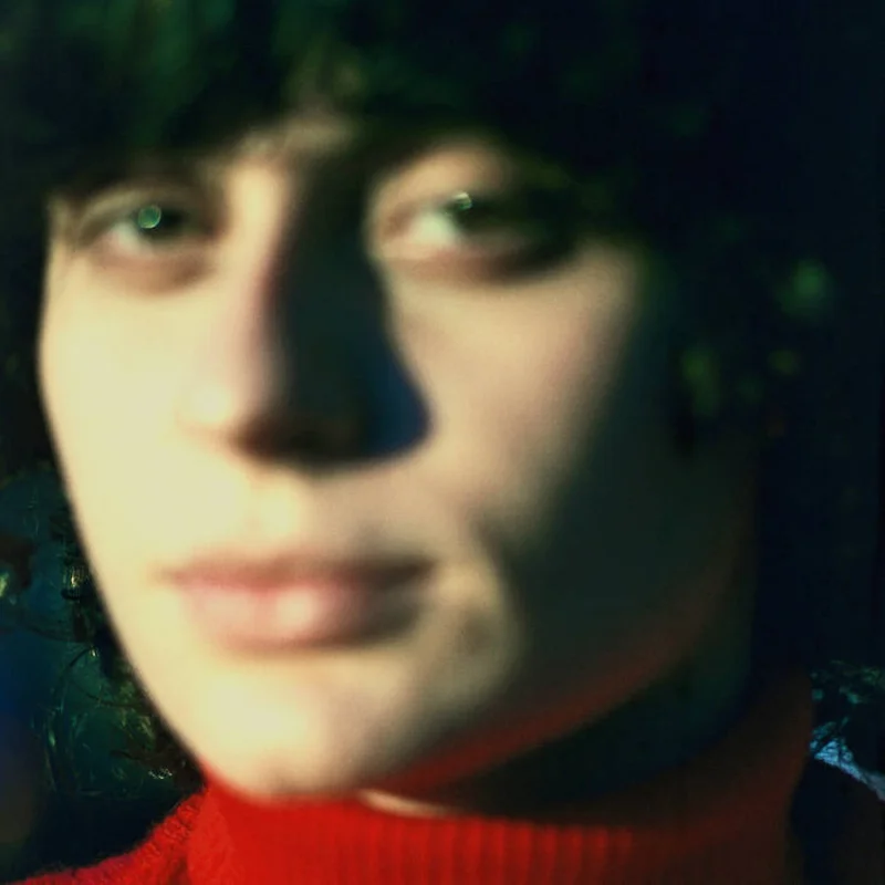 Ana Frango Eltrico - Little Chicken Heart LP