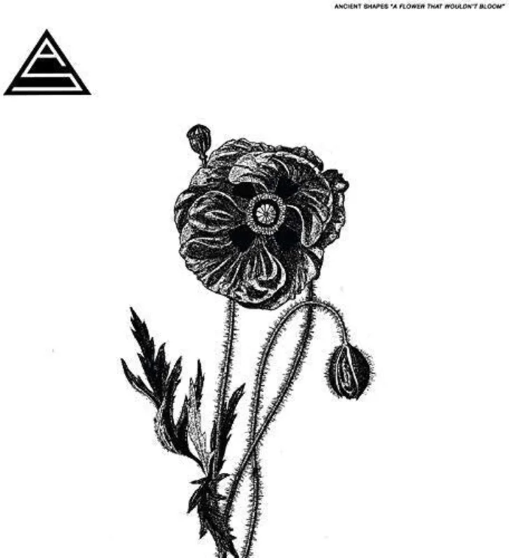 Ancient Shapes - A Flower That Wouldn't Bloom LP