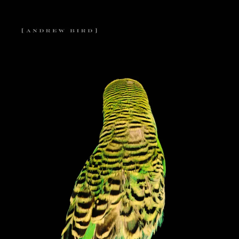 Andrew Bird - Armchair Apocrypha LP