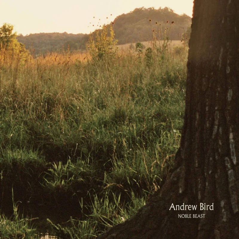 Andrew Bird - Noble Beast 2LP