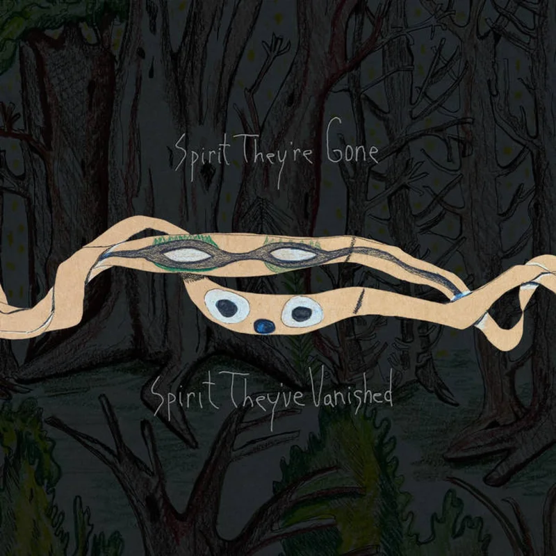 Animal Collective - Spirit They're Gone, Spirit They've Vanished 2LP