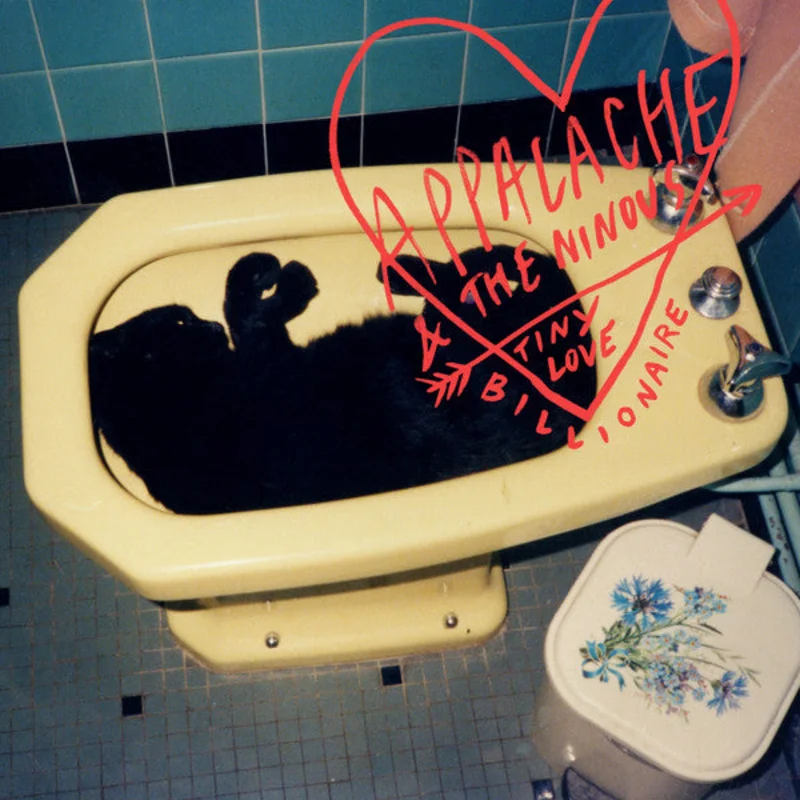 Appalache & the Ninou's, Appalache - Tiny Love Billionaire  (Vinyl)