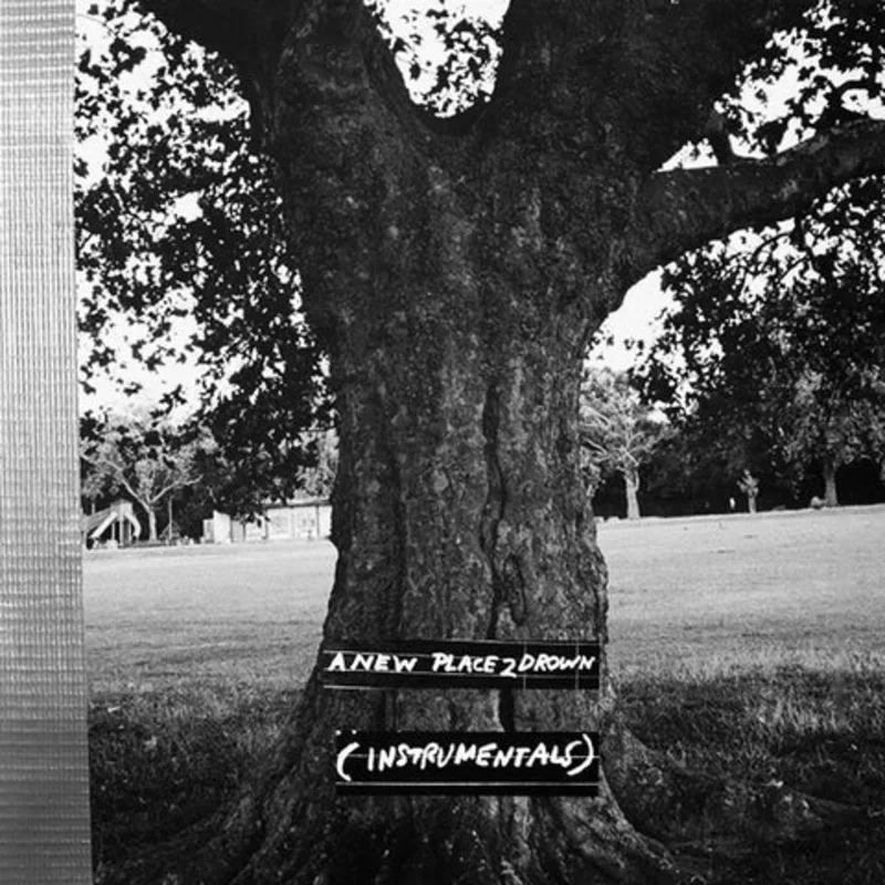Archy Marshall / King Krule - A New Place 2 Drown (Instrumentals) LP