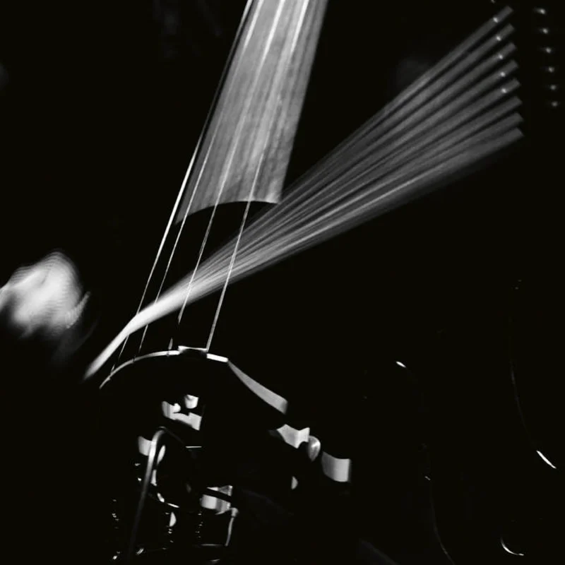 Arnold Dreyblatt & The Orchestra of Excited Strings - Resolve LP
