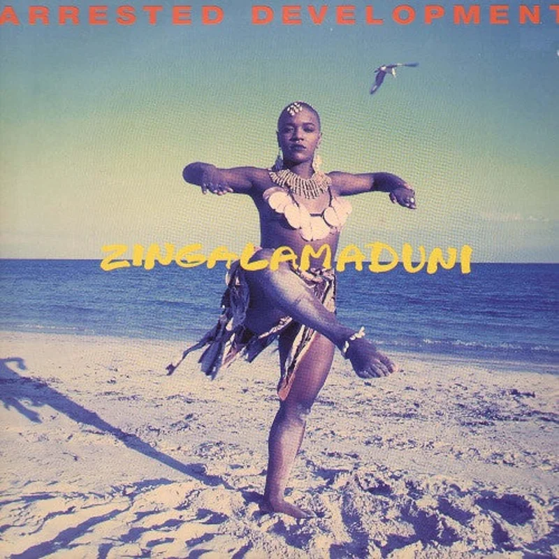 Arrested Development - Zingalamaduni (CD)