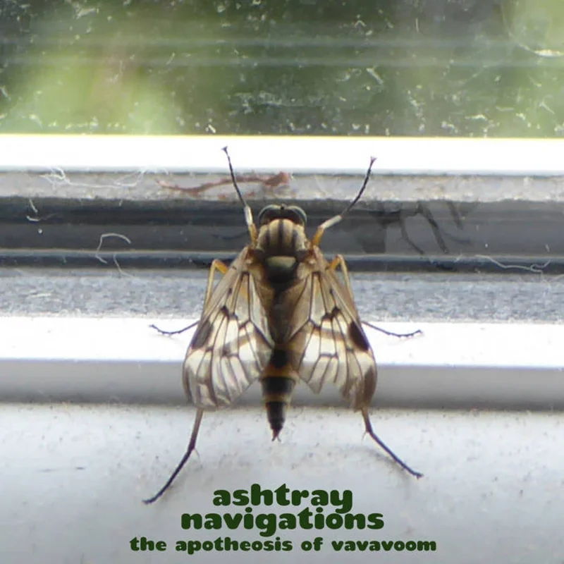 Ashtray Navigations - The Apothesis of VaVaVoom LP