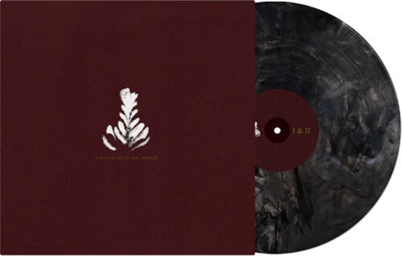 Athletics-Who You Are Is Not Enough (Black & Gray Vinyl) (LP)