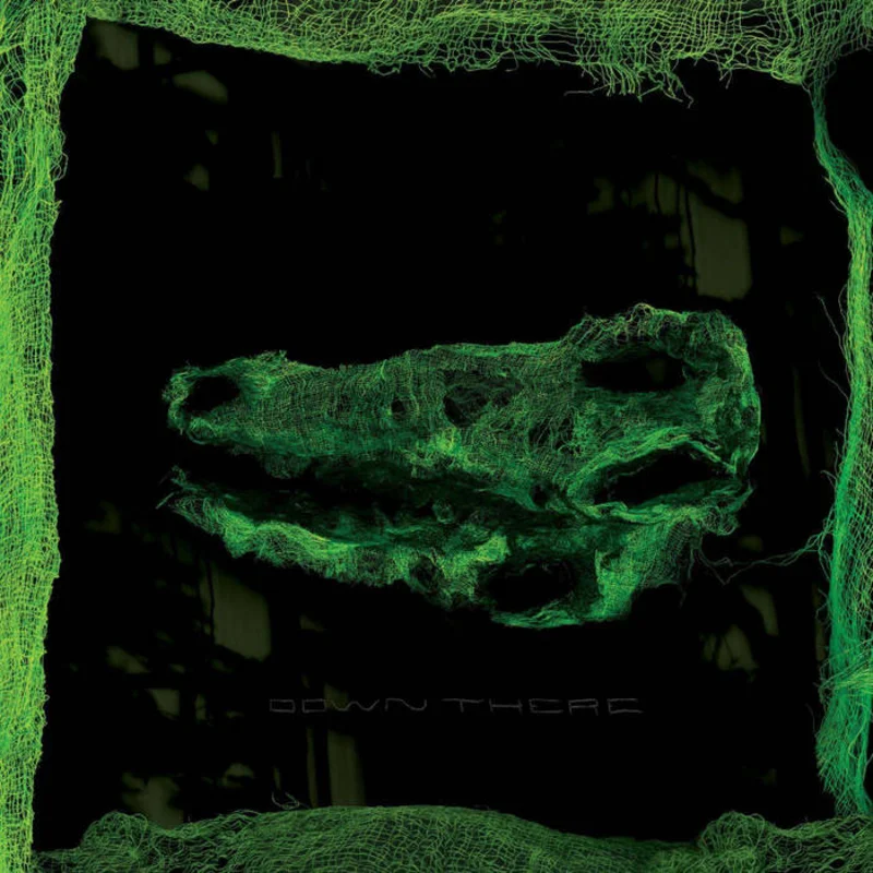 Avey Tare - Down There LP