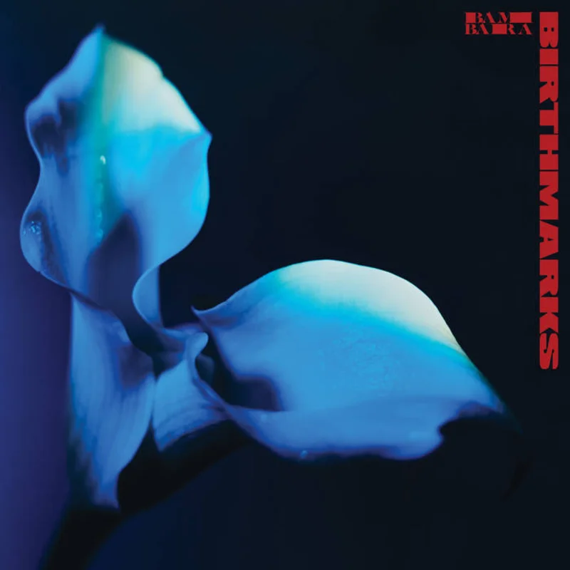 Bambara - Birthmarks LP