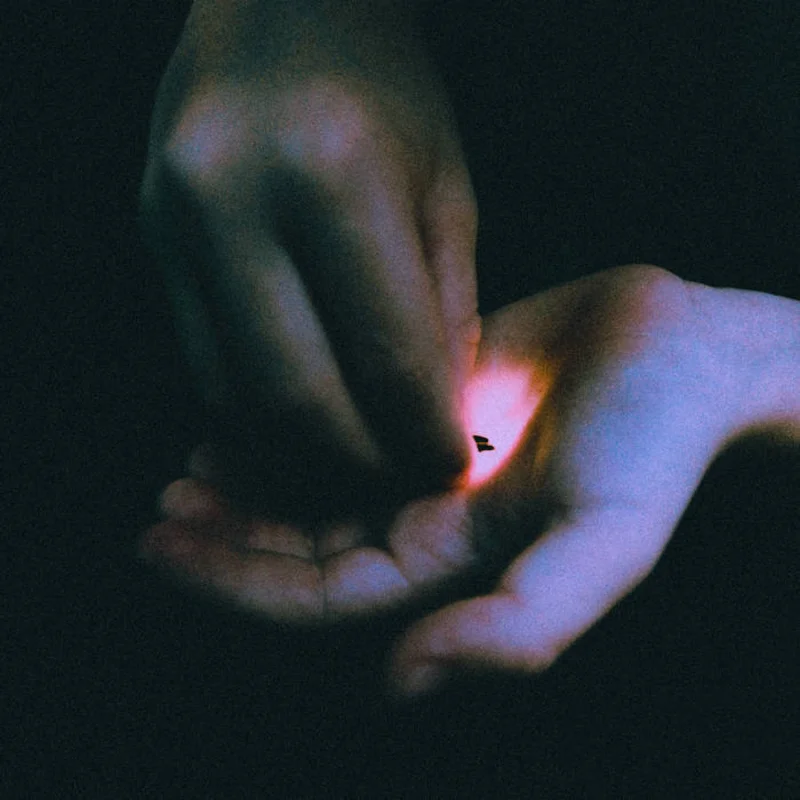 Bambara - Stray LP
