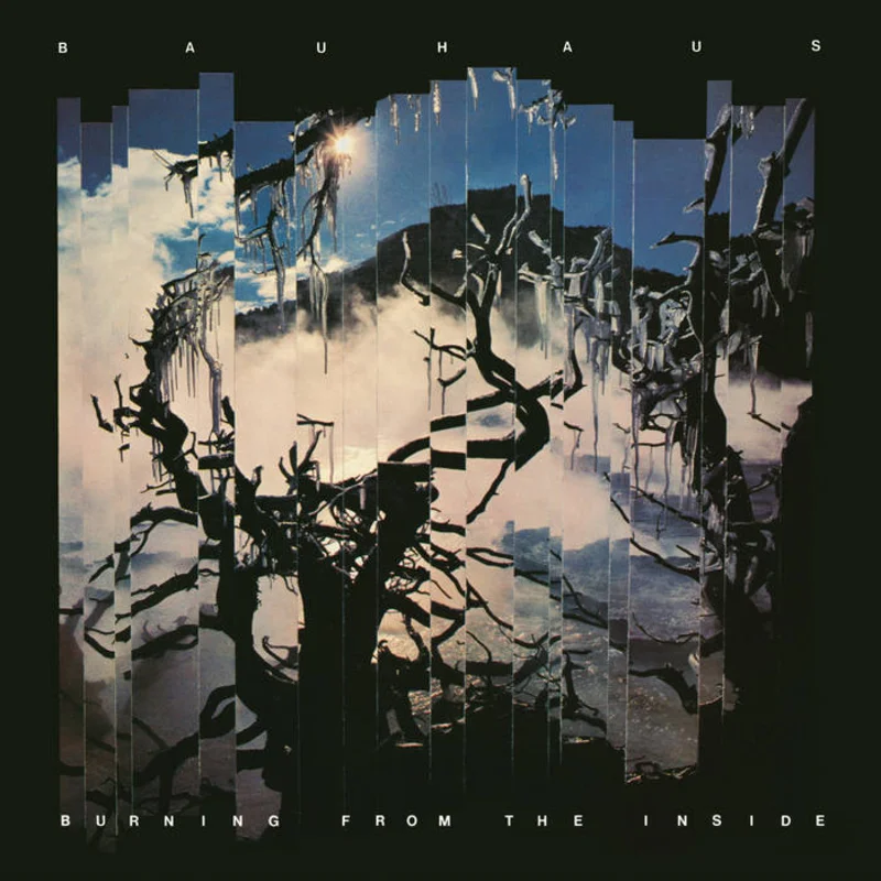 Bauhaus - Burning from the Inside LP