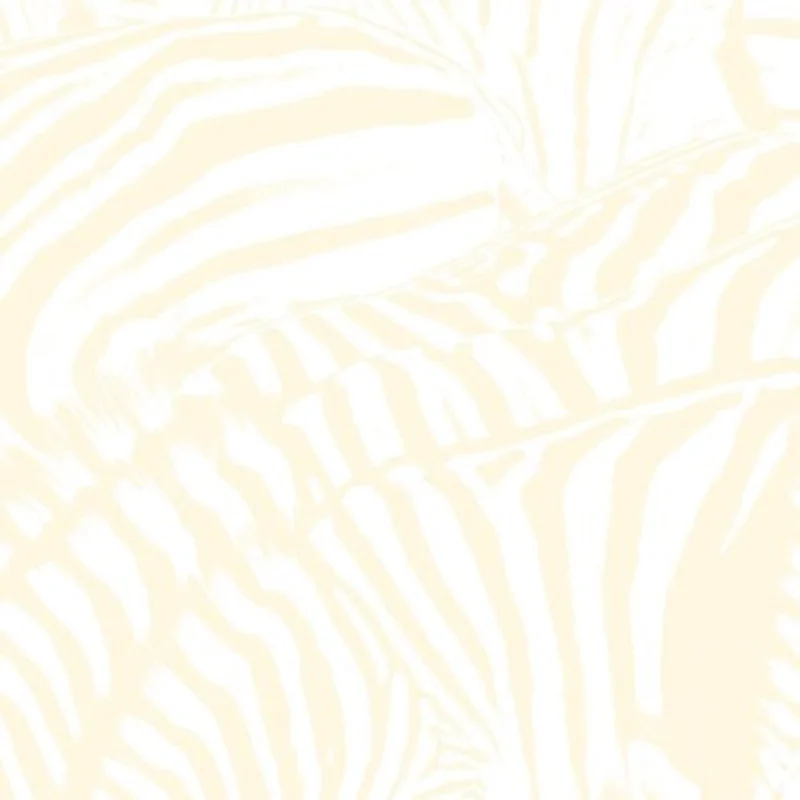 Beach House - Teen Dream 2LP