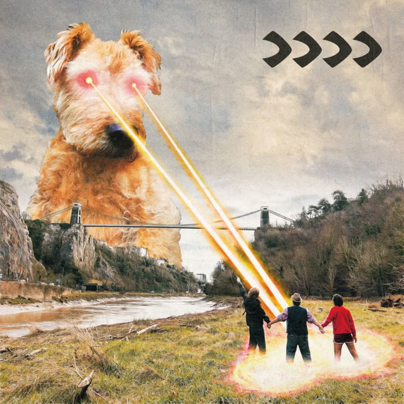 Beak> - >>>> LP