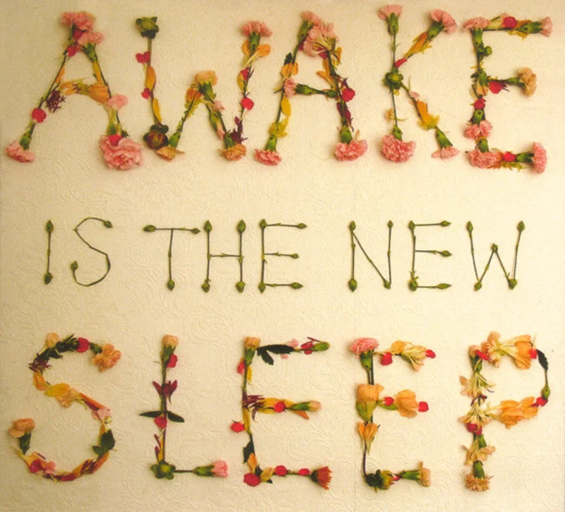 Ben Lee - Awake Is The New Sleep (CD)