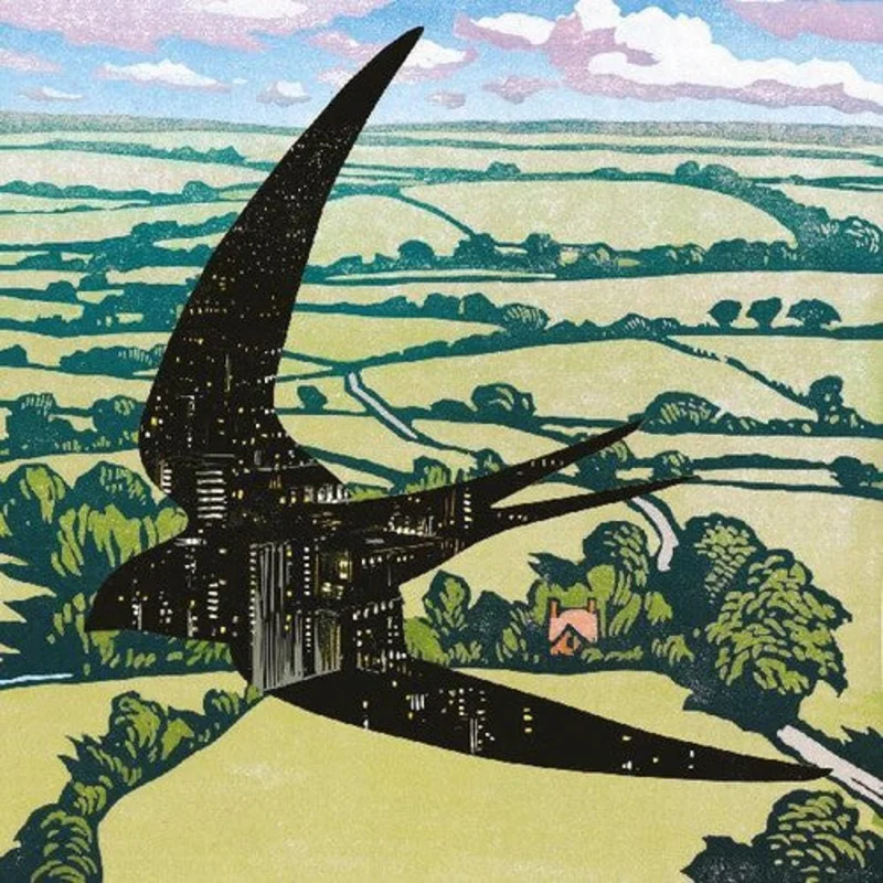 Bibio - Sleep on the Wing LP