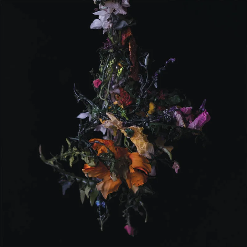 BIG|BRAVE - nature morte LP