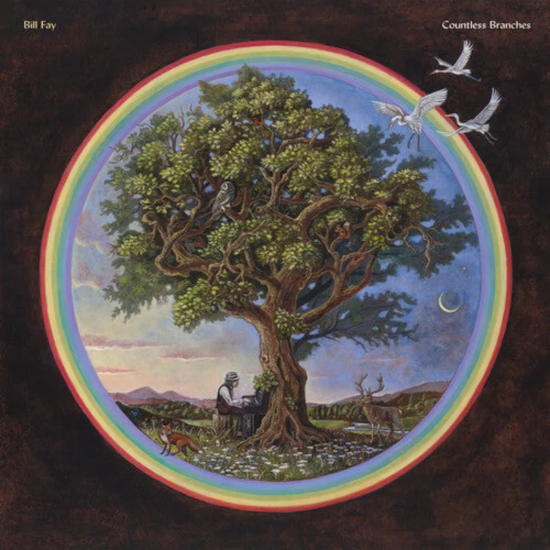 Bill Fay - Countless Branches LP