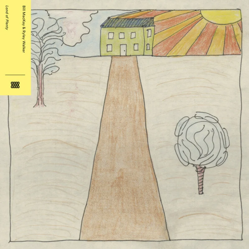 Bill MacKay & Ryley Walker - Land of Plenty LP