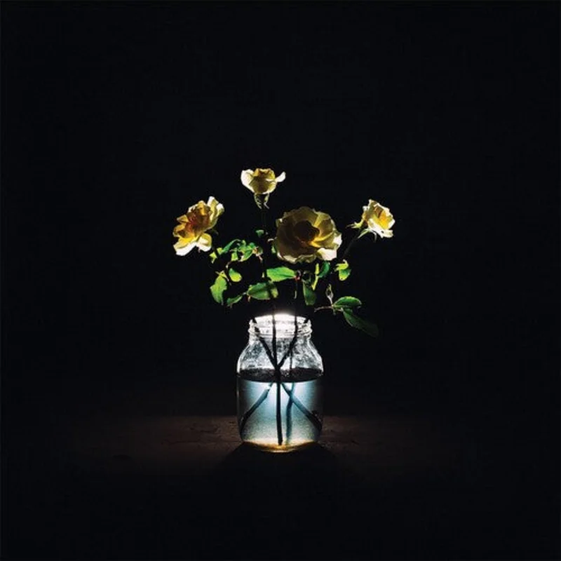 Billy Strings - Renewal 2LP