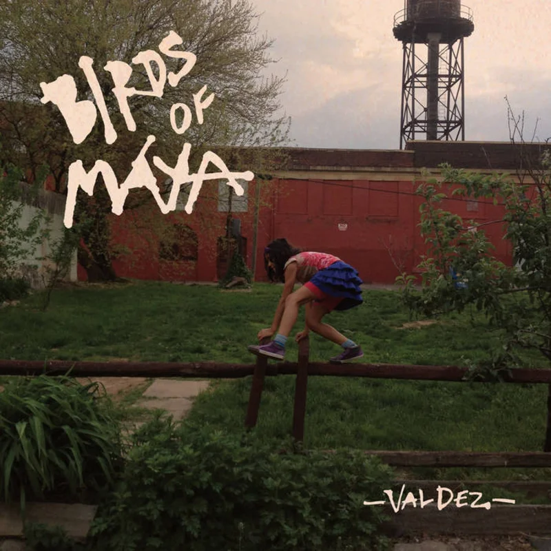 Birds of Maya - Valdez LP