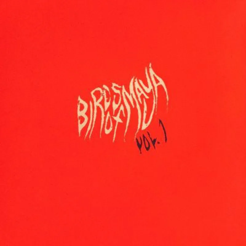 Birds of Maya - Vol. 1 LP