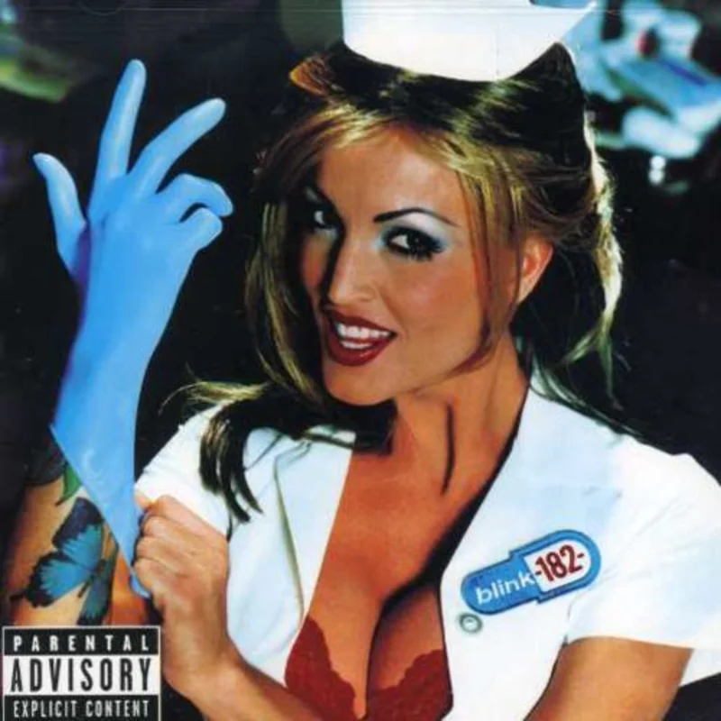 Blink 182-Enema of the State (CD)