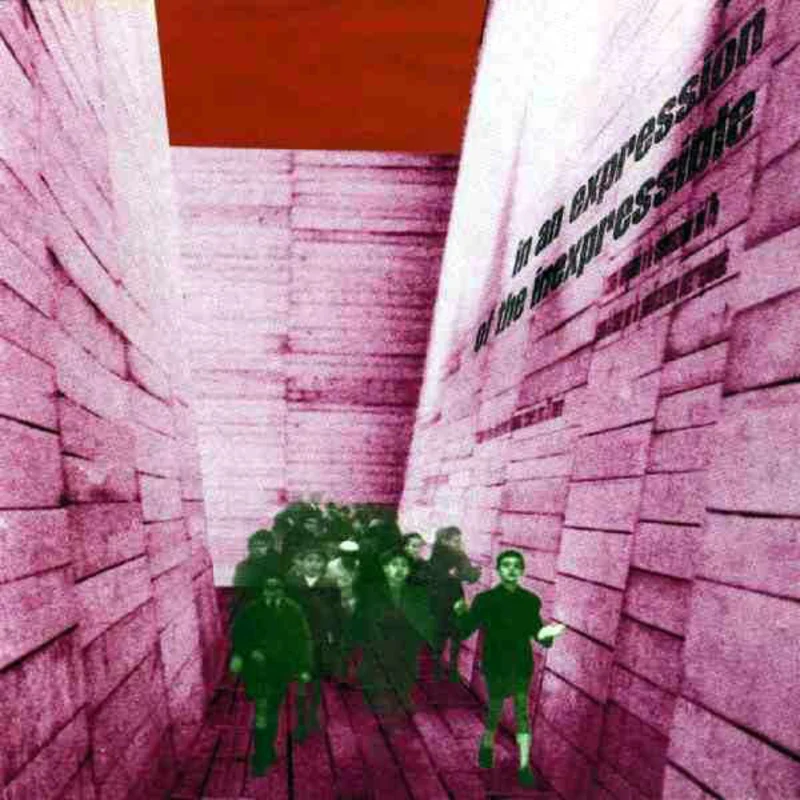 Blonde Redhead - In An Expression Of The Inexpressible LP