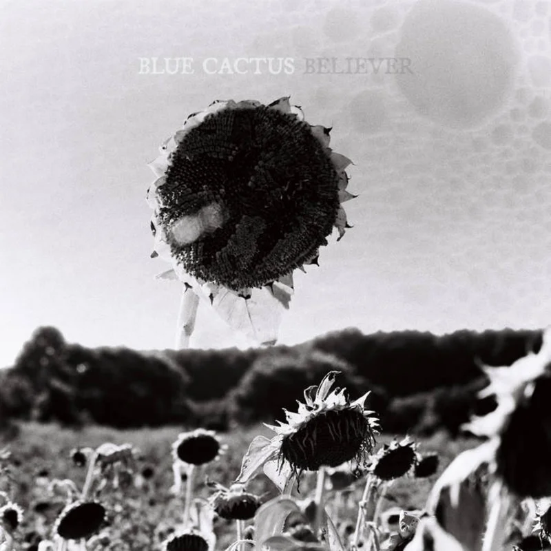 Blue Cactus - Believer LP