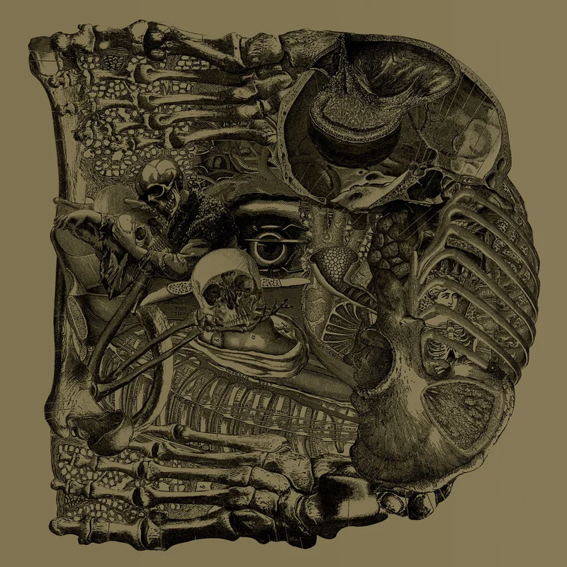 Boris - Dear 2LP