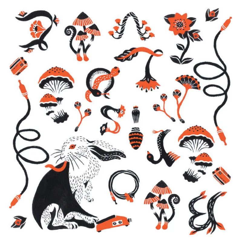 Boris - Love & Evol 2LP