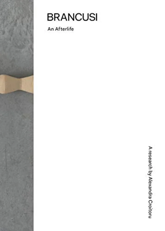 Brancusi : An Afterlife