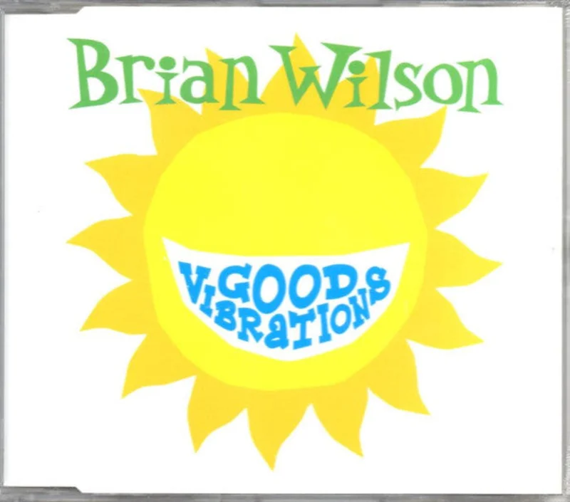 Brian Wilson - Good Vibrations (CD)