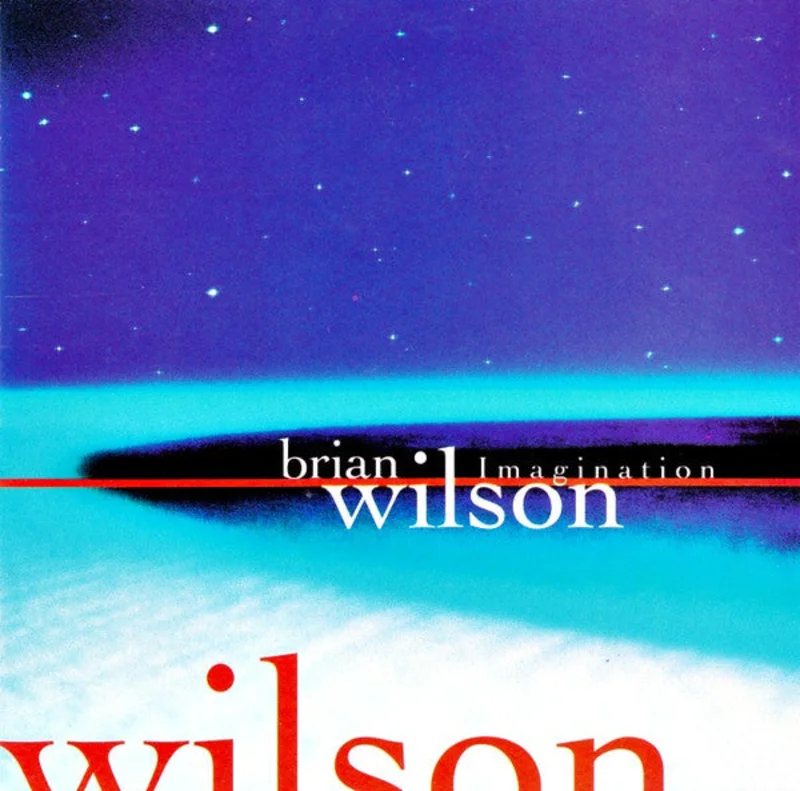 Brian Wilson - Imagination (CD)