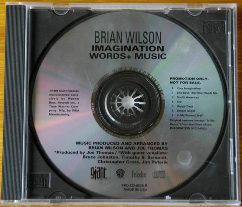 Brian Wilson - Imagination Words + Music (CD)