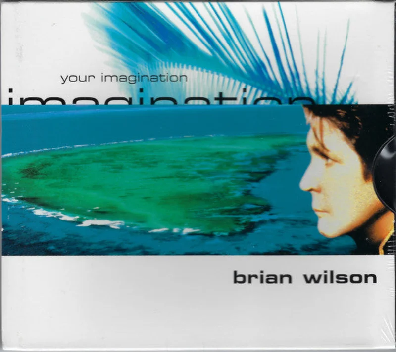 Brian Wilson - Your Imagination (CD)