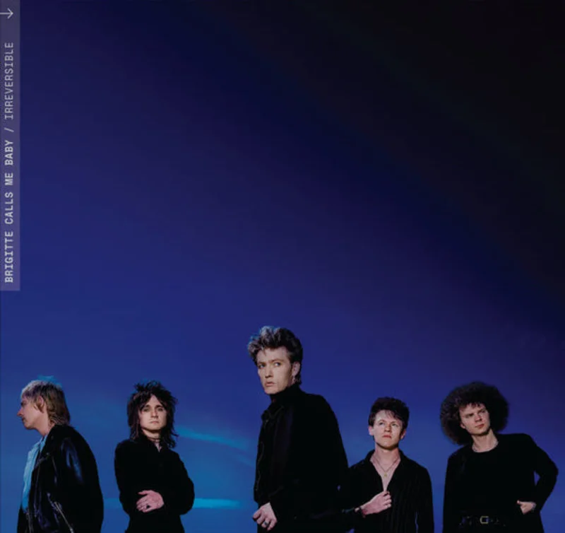 Brigitte Calls Me Baby - Irreversible (CD)